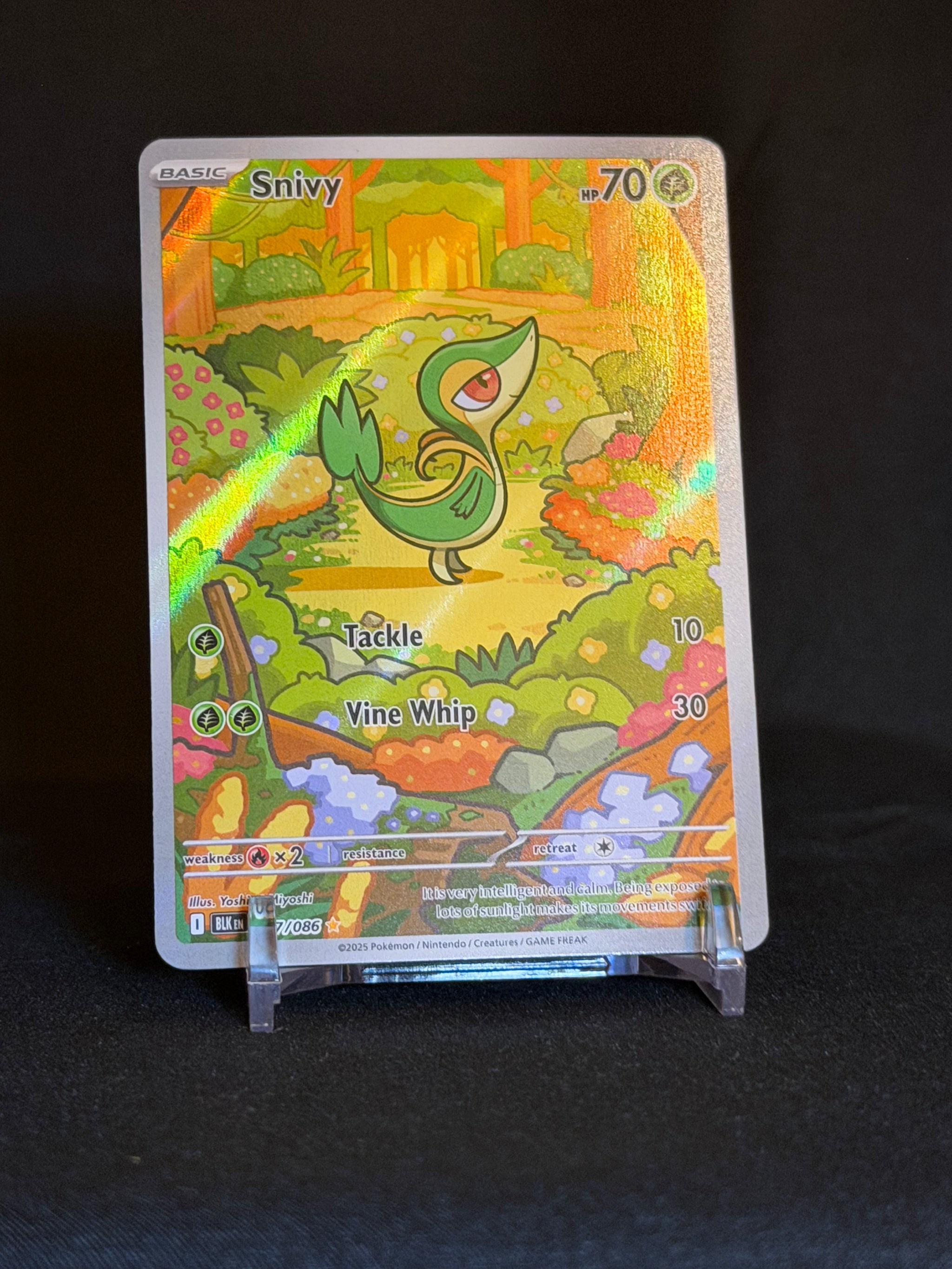 Snivy Black Bolt Illustration Rare 087/086