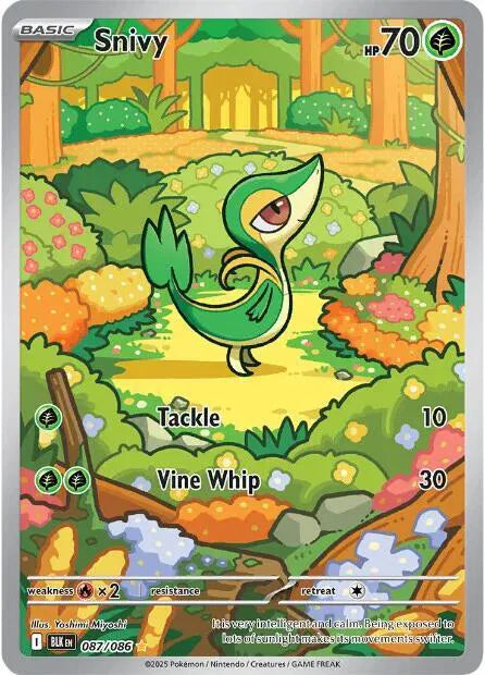 Snivy Black Bolt Illustration Rare 087/086